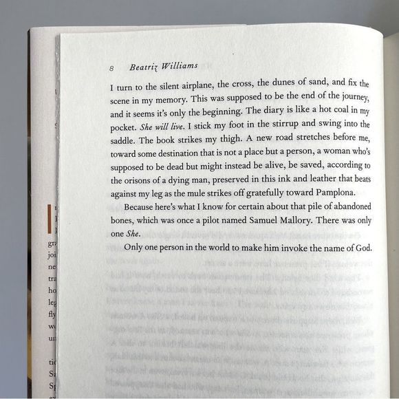 BOOK, NOVEL, “Her Last Flight”, Beatriz Williams, NYT Bestselling Author… - Picture 11 of 13